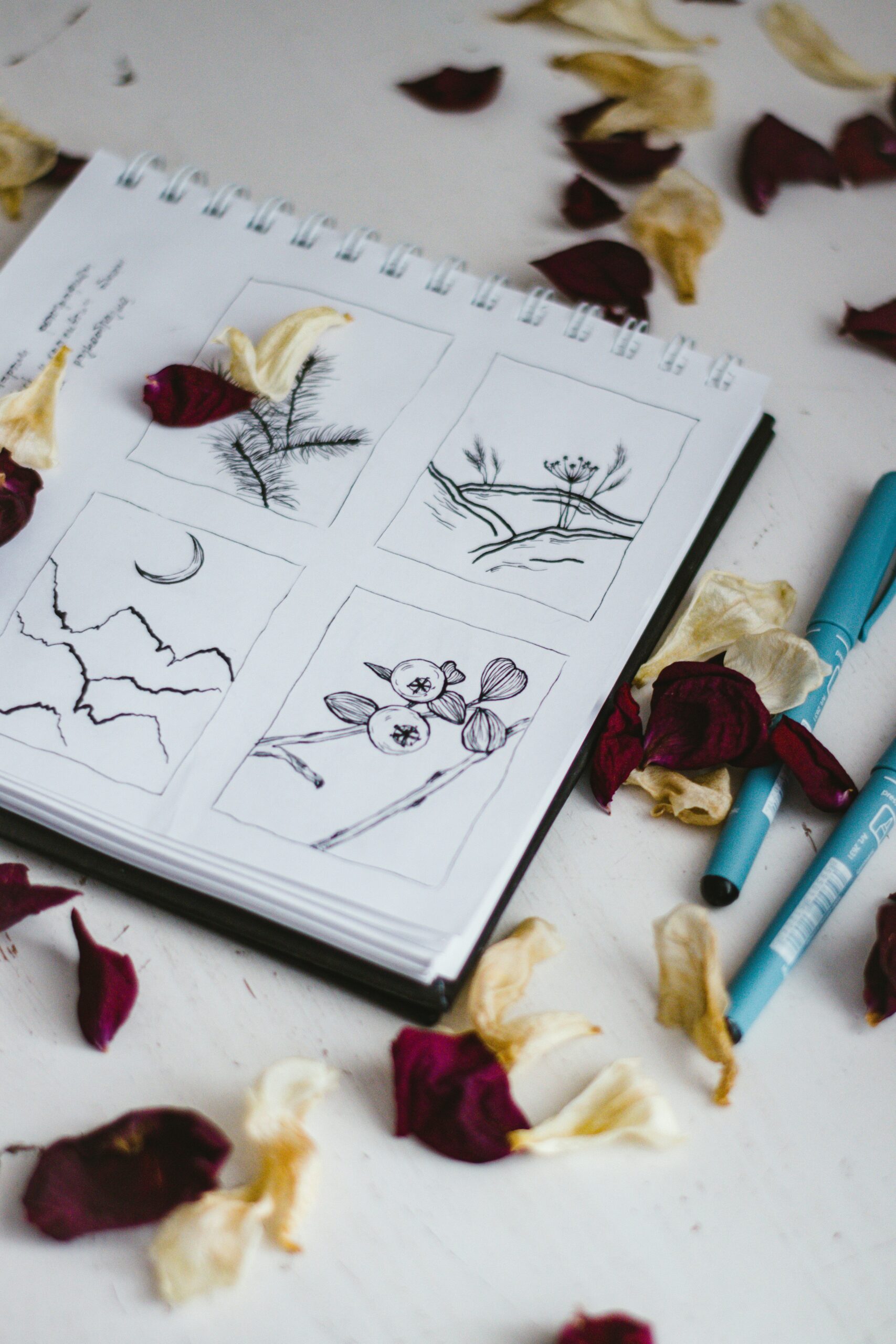 purejuliaorBfpz16WEwunsplash Miriam Baranov Art